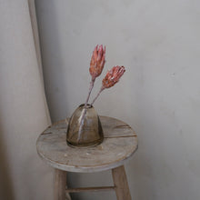 将图片加载到图库查看器，Protea Flower (Pack of 3)

