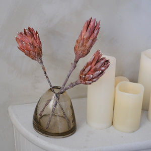 Protea Flower (Pack of 3)