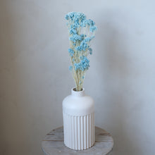 将图片加载到图库查看器，Preserved Rice Flower - Light Blue
