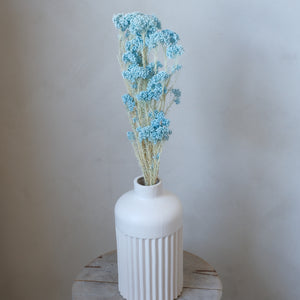 Preserved Rice Flower - Light Blue