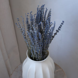 Dried Lavender (bunch)