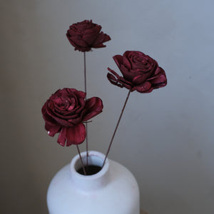 Sola Wood Rose  (Pack of 3)